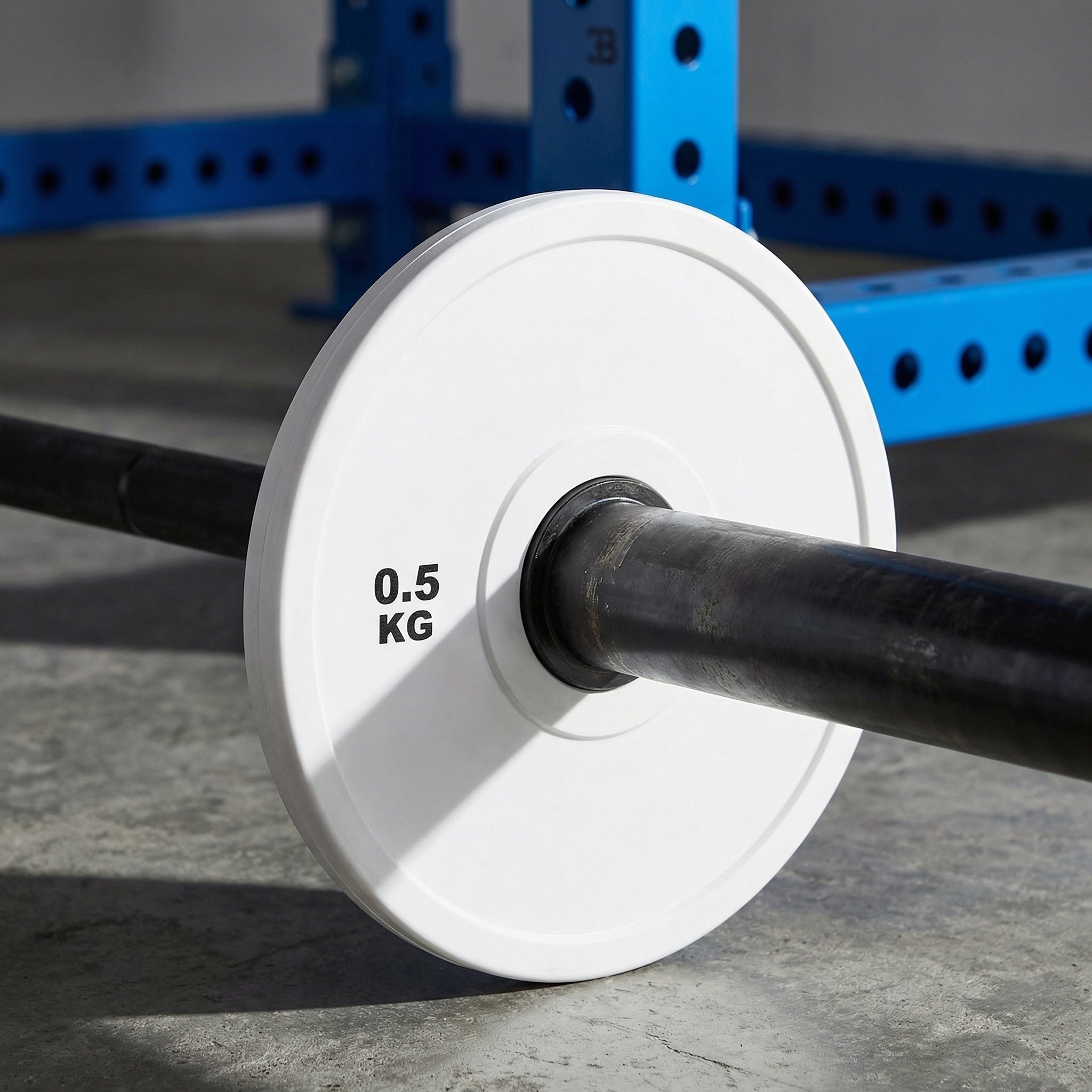 Home Gym Workout - 2Pcs Barbell Weight Plates Rubber 6-Inch