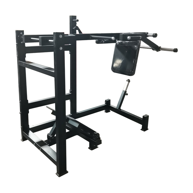 2026 Hot Sale Commercial Use P - Leg Press Machine review and price