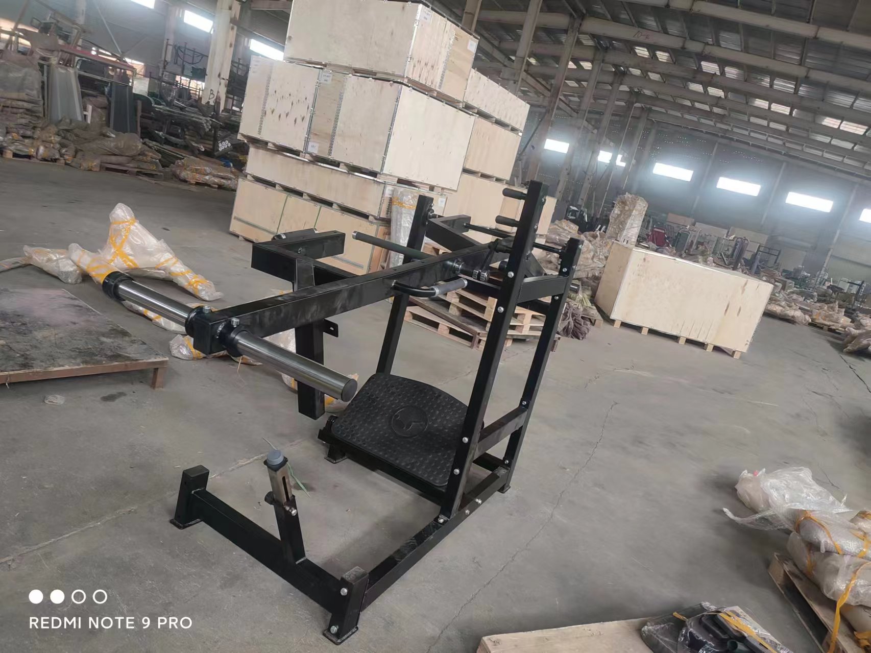 2026 Hot Sale Commercial Use P - Leg Press Machine review and price