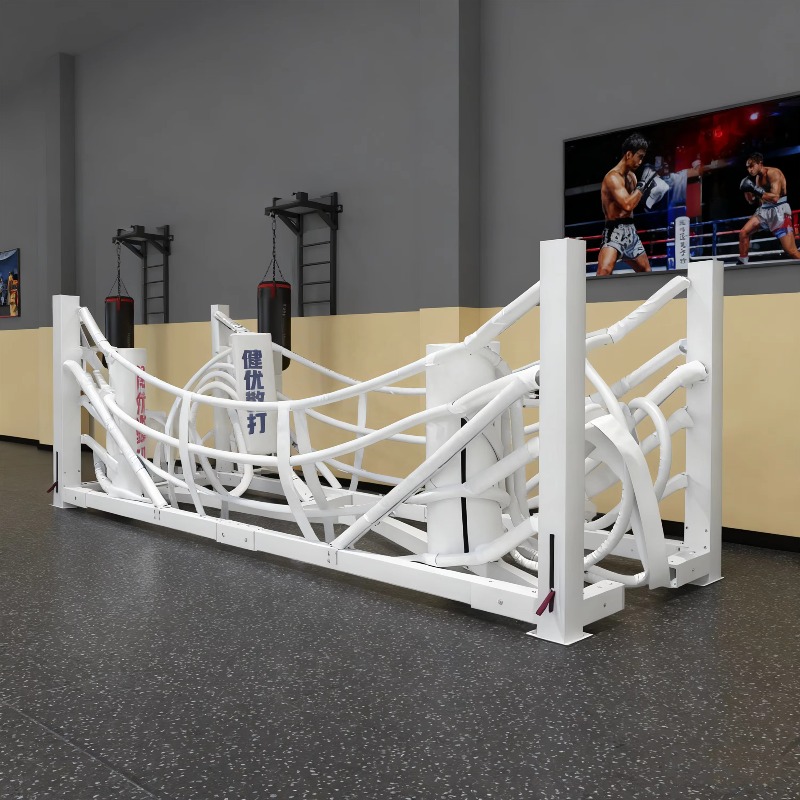 Foldable Gym Boxing Ring Set S - Home Gym Set review and price