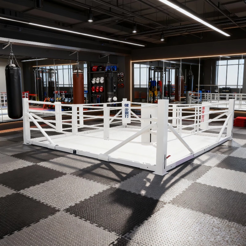 Foldable Gym Boxing Ring Set S - Home Gym Set review and price